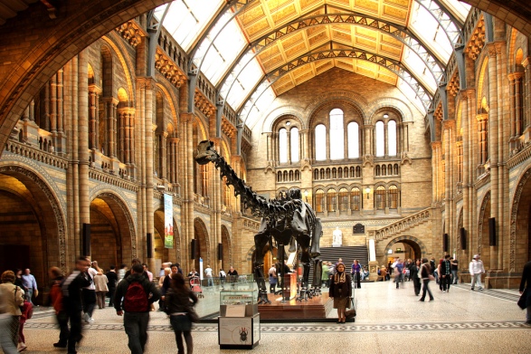 london-natural-history-museum